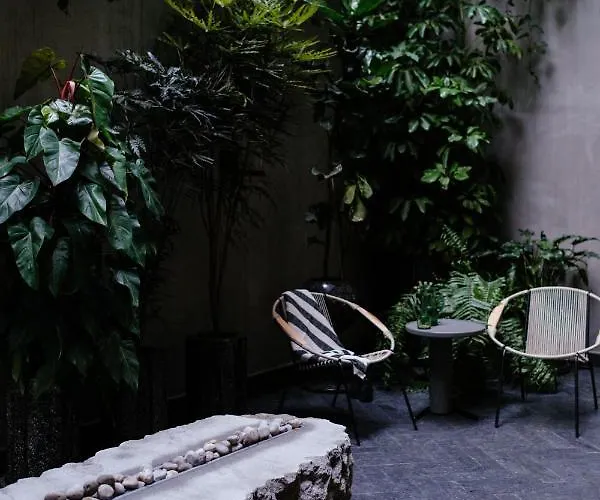 Colima 71 - Casa De Arte Hotel México DF