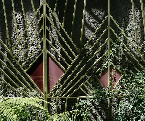 Colima 71 - Casa De Arte Hotel