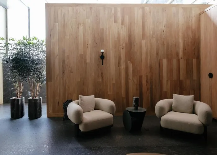 Colima 71 - Casa De Arte Hotel México DF