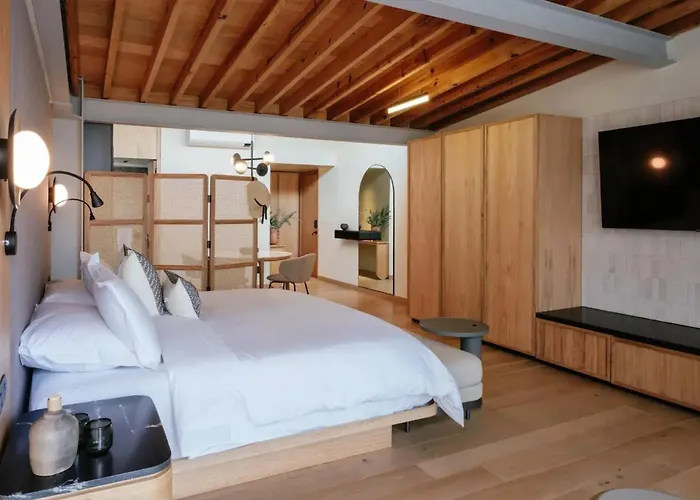 Hotel Colima 71 - Casa De Arte 5*