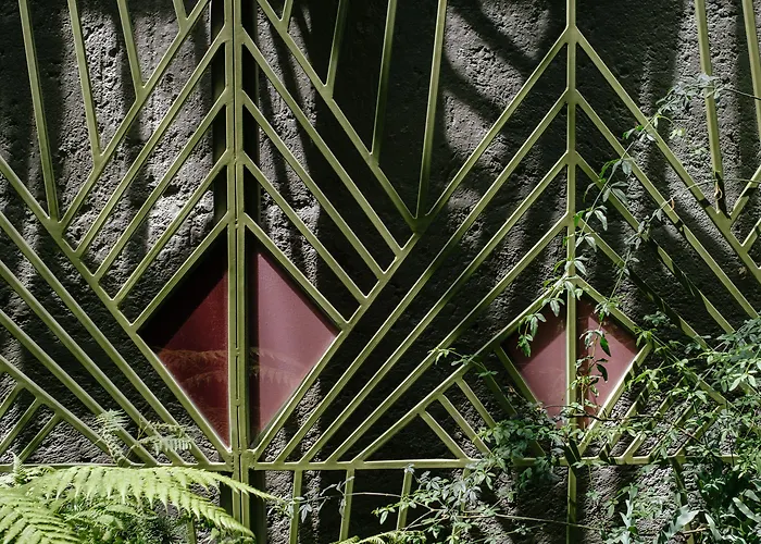 Colima 71 - Casa De Arte